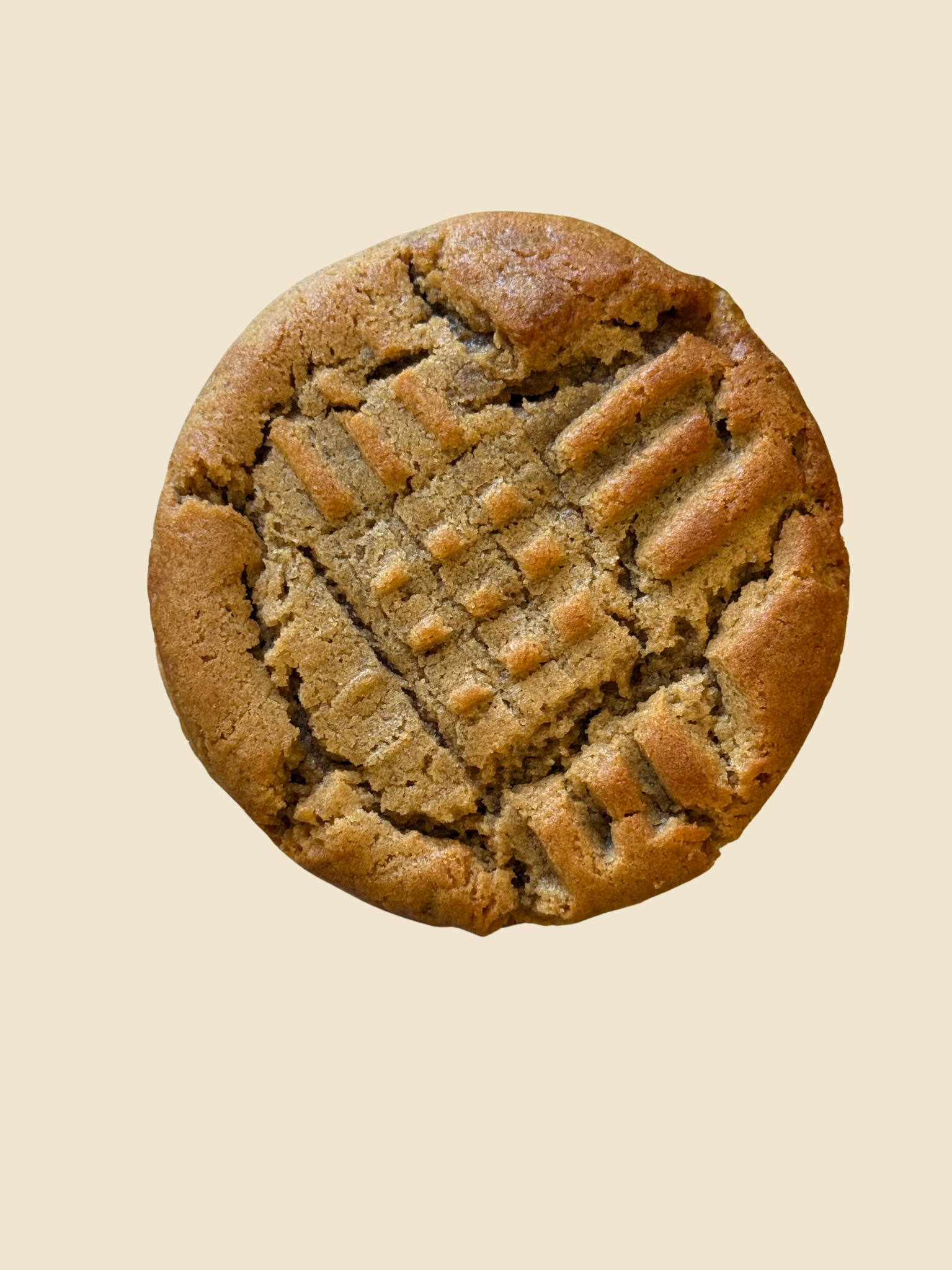 Peanut Butter Cookie