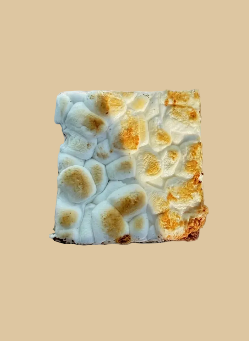 S’mores Brownie
